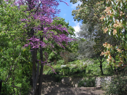 29963 (a): :1600x1200